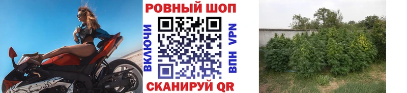 Купить Каннабис  Галлюциногенные грибы  Меф мяу мяу  Alpha-PVP  Новоульяновск