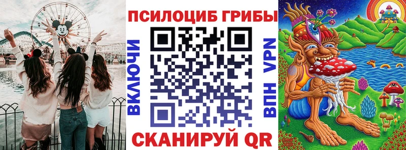 Купить  Новоульяновск  Псилоцибиновые грибы Cubensis 