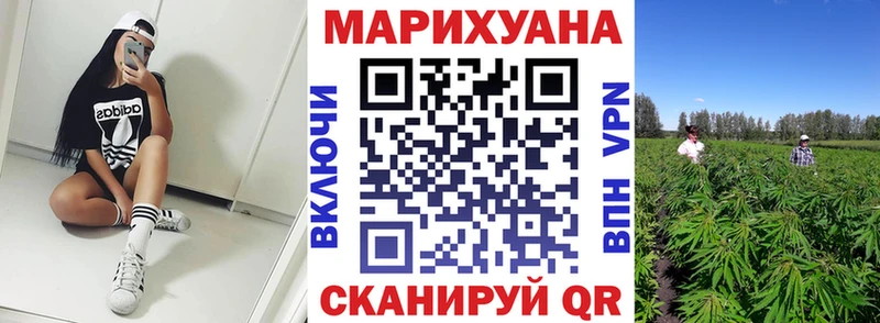 Конопля Bruce Banner  Купить где  Новоульяновск 